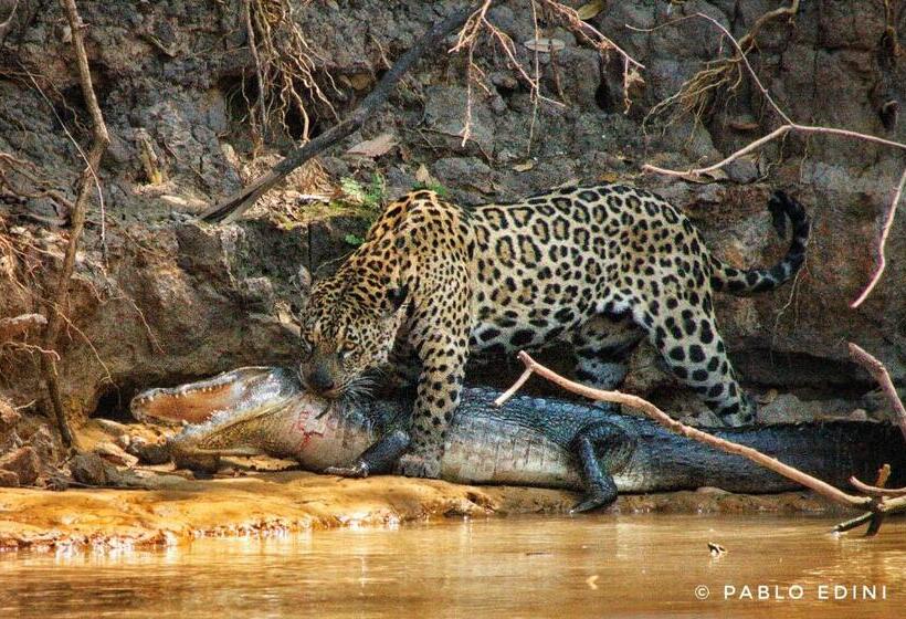 Pension Aymara Lodge