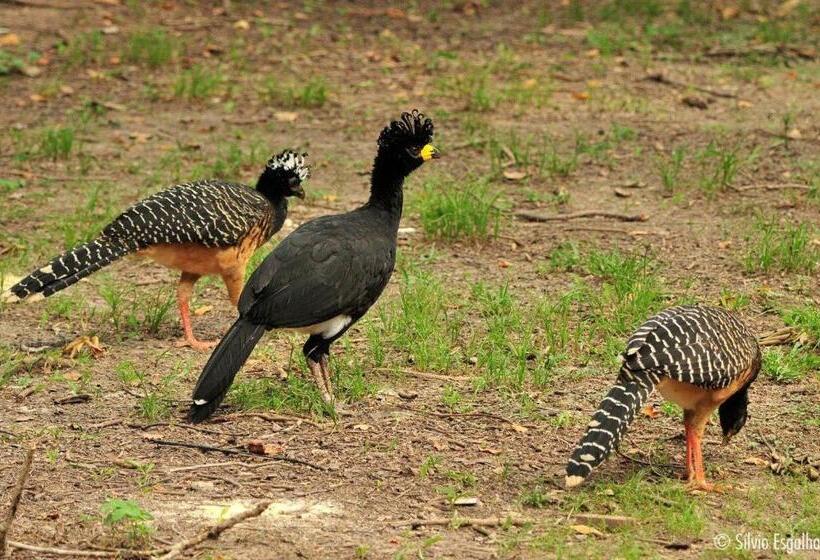 Pension Aymara Lodge