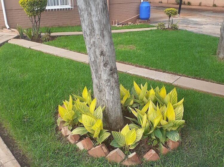 Bed & Breakfast Hazelonz Bed &breakfast