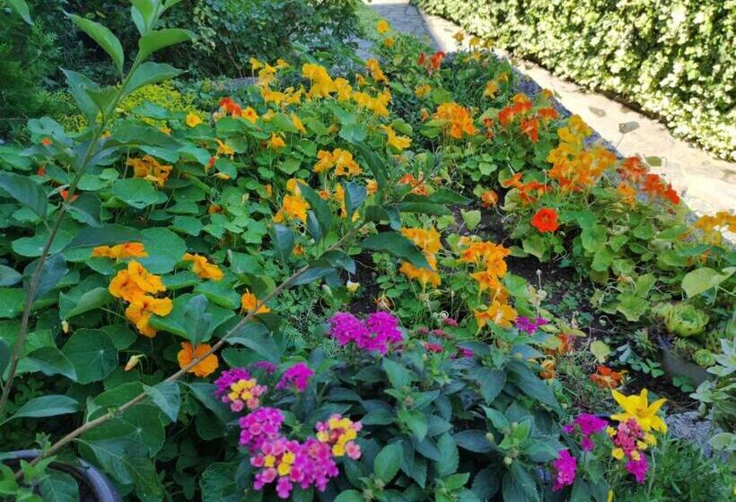 پانسیون Vila Sentić