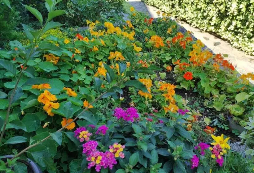 پانسیون Vila Sentić