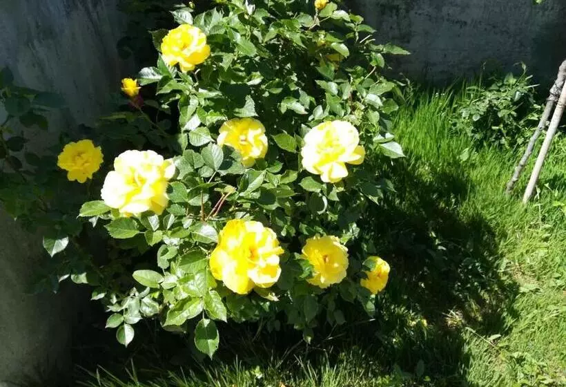 پانسیون Vila Sentić