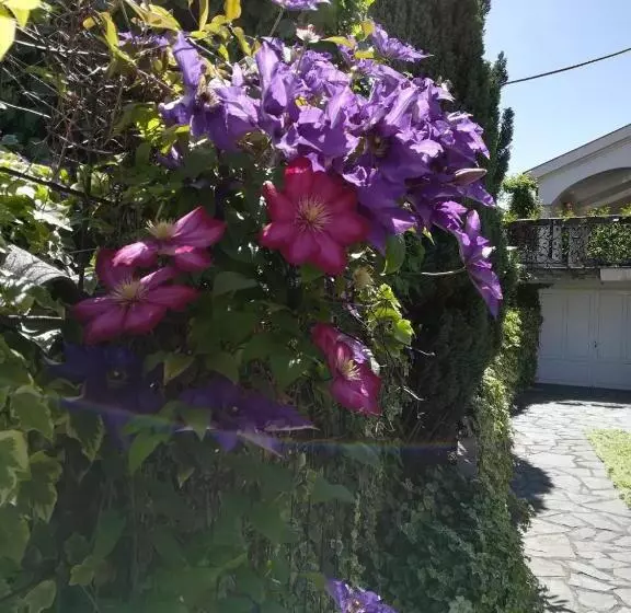 پانسیون Vila Sentić