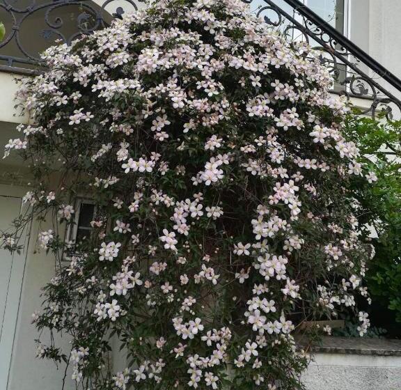 پانسیون Vila Sentić