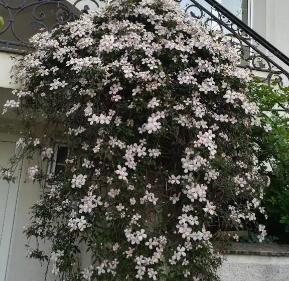 پانسیون Vila Sentić