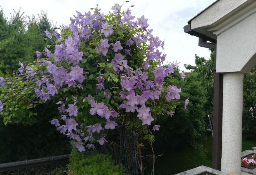 پانسیون Vila Sentić