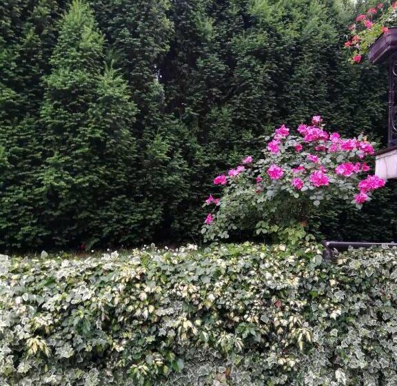 پانسیون Vila Sentić