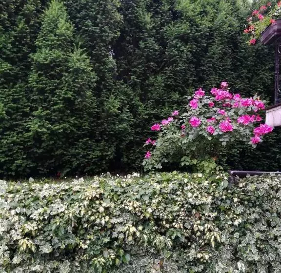 پانسیون Vila Sentić