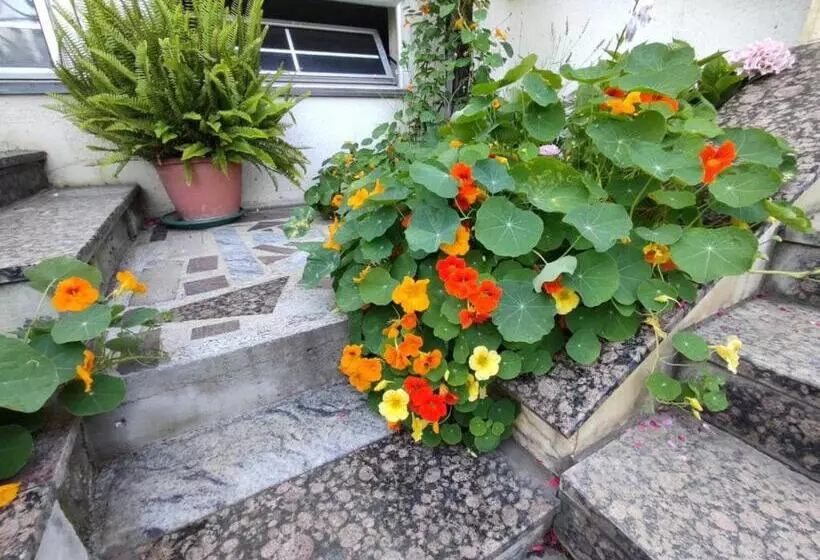 پانسیون Vila Sentić