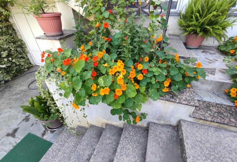 پانسیون Vila Sentić