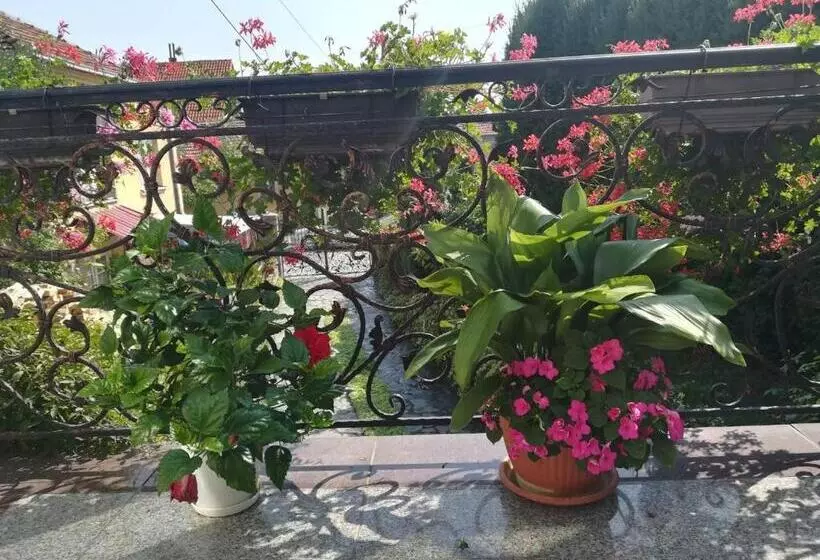 پانسیون Vila Sentić