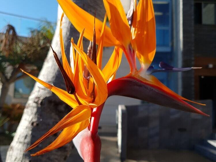 فندق Boutique Aroma De Mar