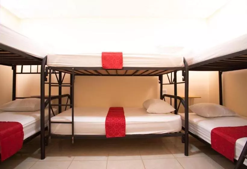 Flor De Katty Hostel Airport