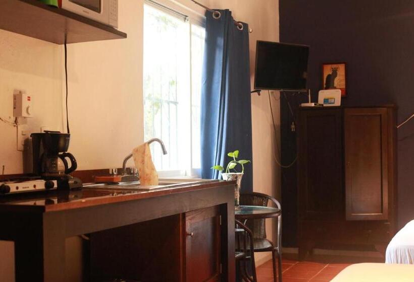 酒店 Bea Rooms And Studios