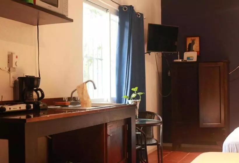 هتل Bea Rooms And Studios