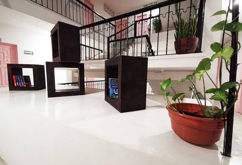 בית מלון כפרי Tropicus Boutique