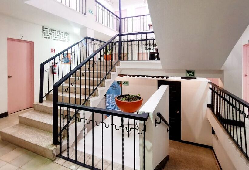 בית מלון כפרי Tropicus Boutique