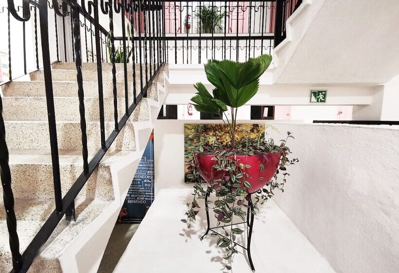 בית מלון כפרי Tropicus Boutique