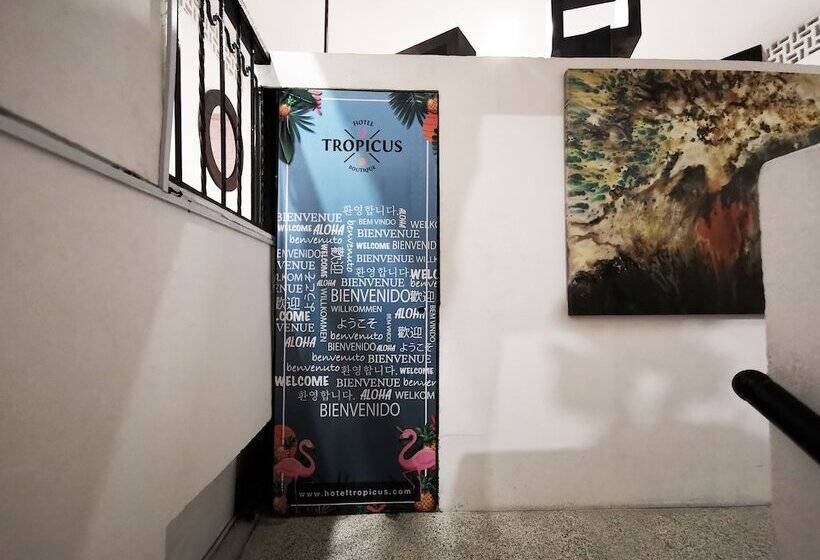 בית מלון כפרי Tropicus Boutique