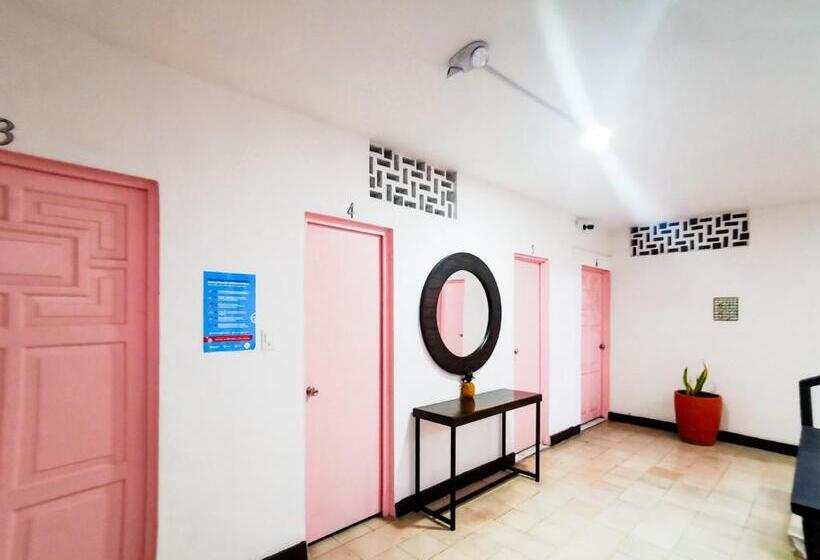 בית מלון כפרי Tropicus Boutique