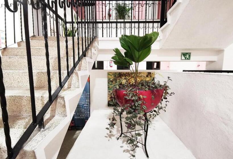 בית מלון כפרי Tropicus Boutique