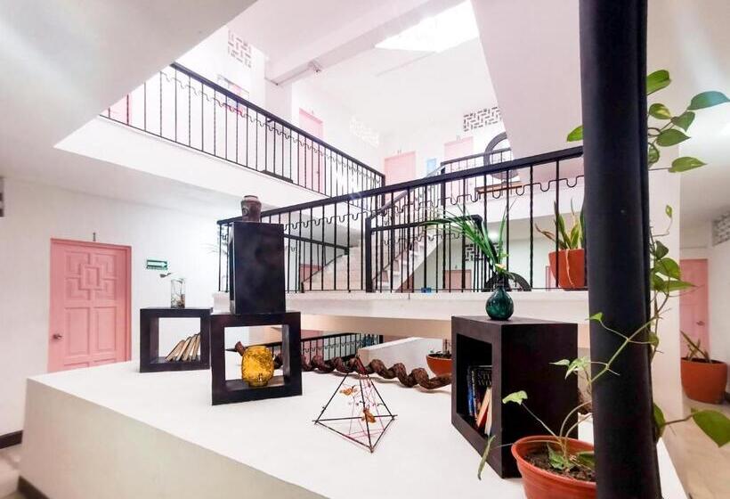 בית מלון כפרי Tropicus Boutique