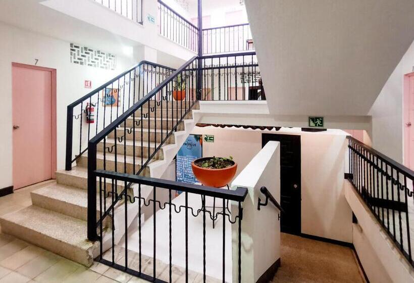 בית מלון כפרי Tropicus Boutique