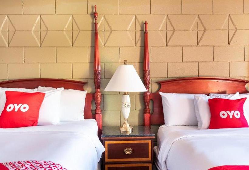 汽车旅馆 Broadway Inn