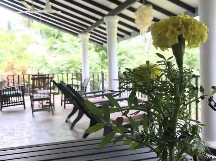 Pearl Villa Rooms And Hostel