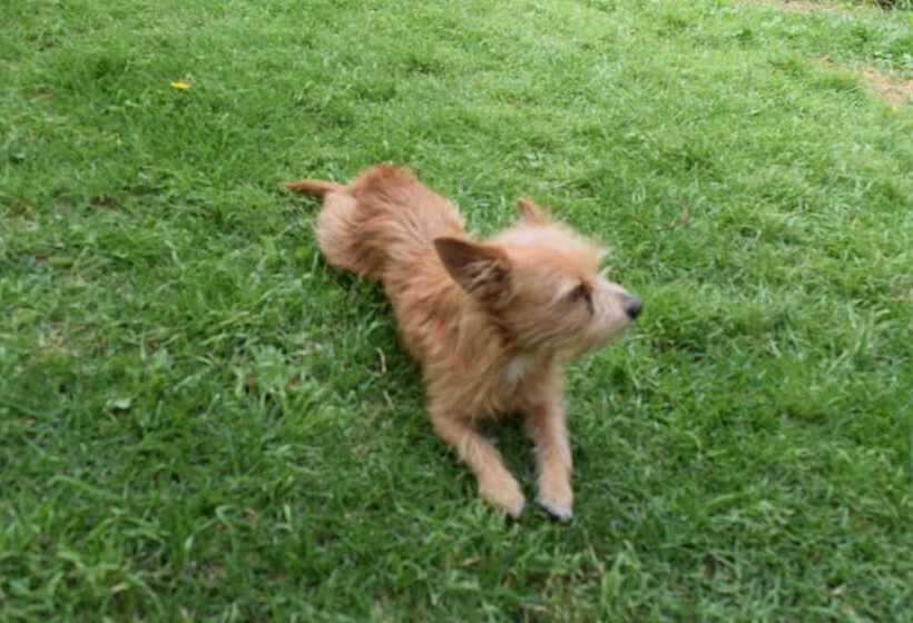 Pension El Mirador De Cortaderas