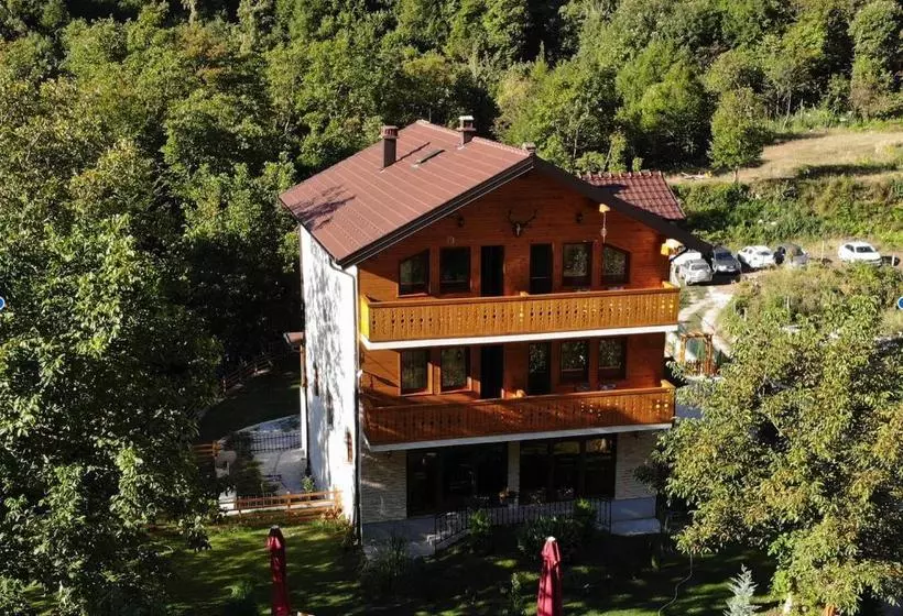 Vila Alexander B&b