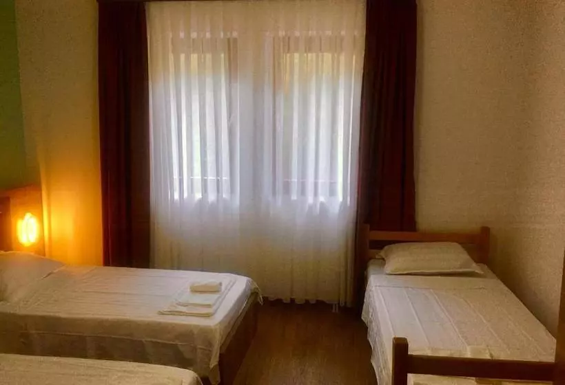 Vila Alexander B&b