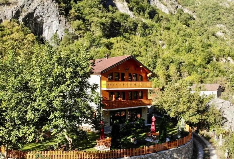 Vila Alexander B&b