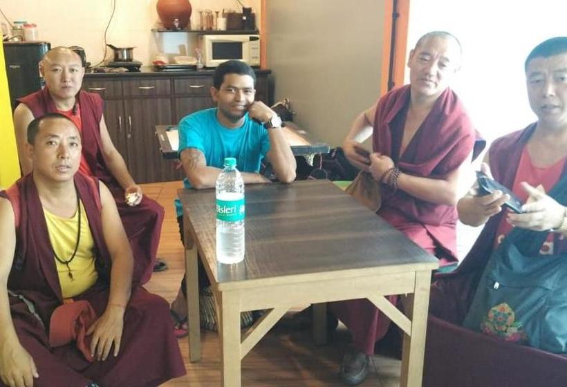 Vandrarhem Backpack Stay