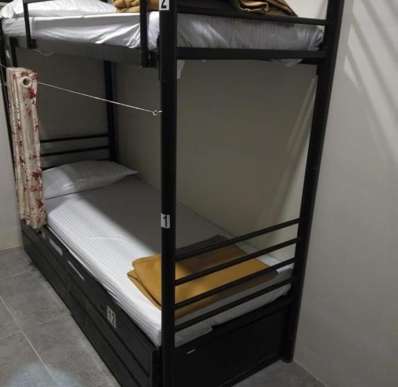 Vandrarhem Backpack Stay