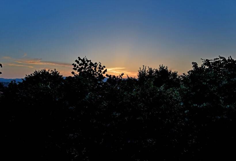 تختخواب و صبحانه Eagles Philadelfia