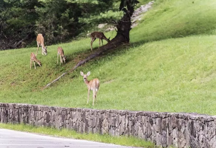 Carter Caves State Resort Park