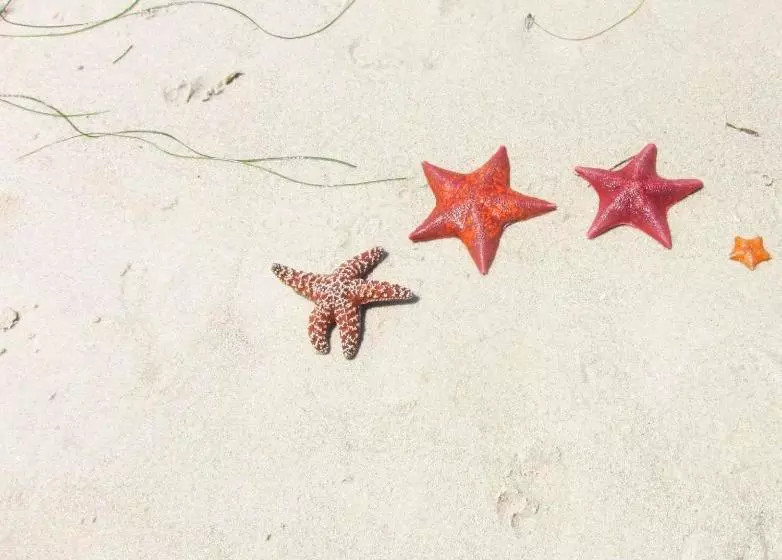 酒店 Carmel Fireplace Inn