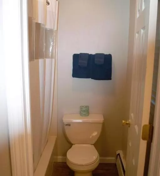 Отель Carrier Motor Lodge