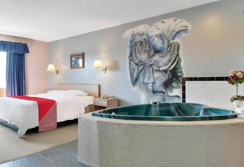 Отель Casa Loma Economy Inn