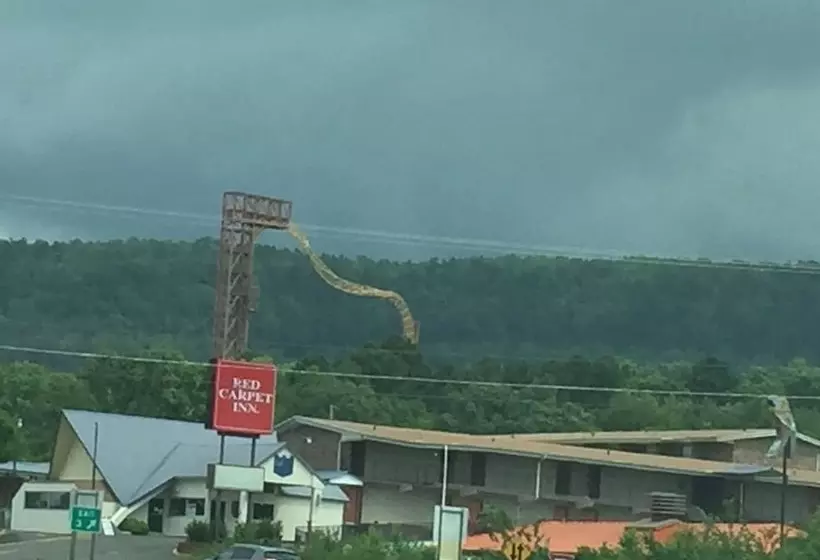 ホテル Red Carpet Inn