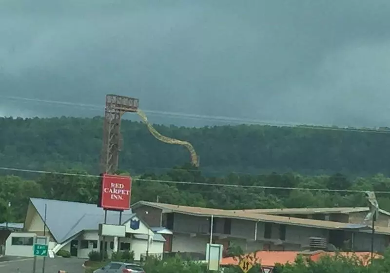 ホテル Red Carpet Inn