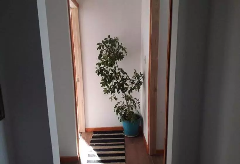 ベッドアンドブレックファースト Hostal Girasoles, Empresas,facturas