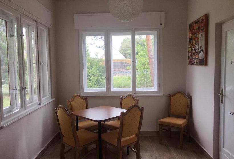 민박 Napsugár Club és Panzió