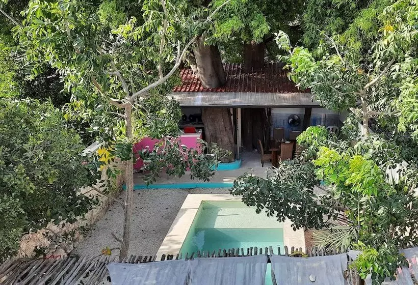 Guaya Hostel