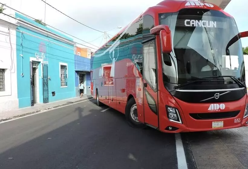 Guaya Hostel