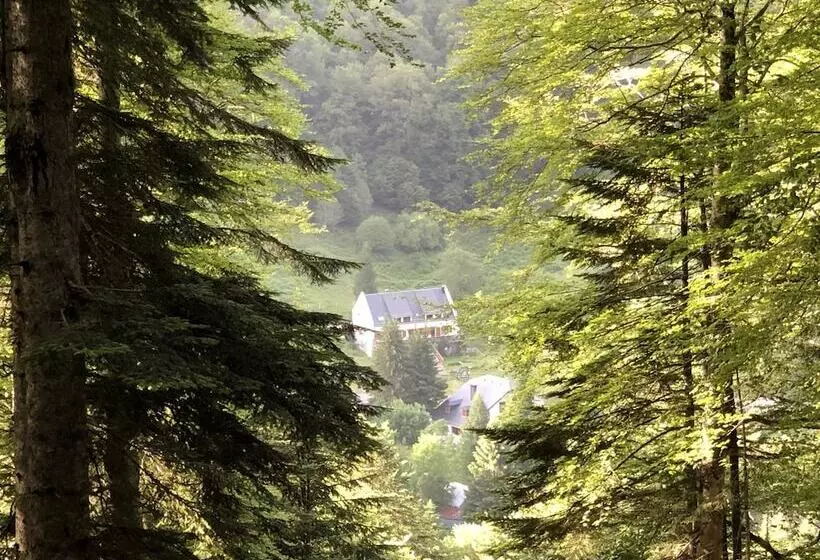 تختخواب و صبحانه O Chiroulet  Le Refuge De L Isard