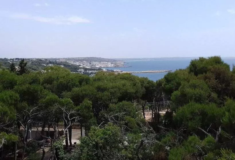 Aamiaismajoitus (B&B) Dimora Villa Serena Porto Selvaggio