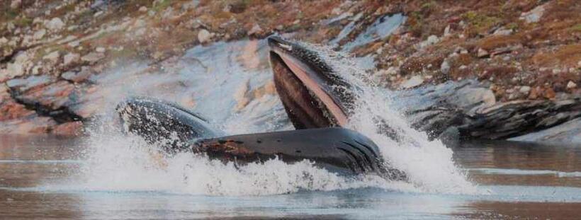 Nocleg ze śniadaniem Ilulissat Apartment