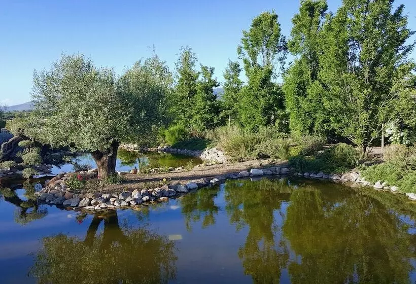 Aamiaismajoitus (B&B) Resort Villa Domus Petra